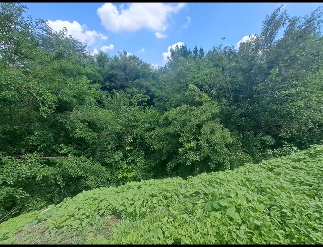 90,483M² FARM FOR SALE IN RISIVILLE